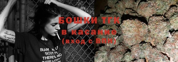 молекула духа Михайловск